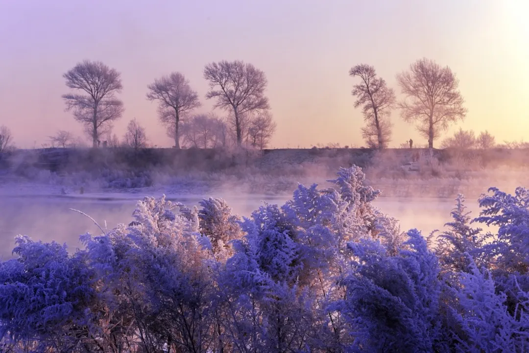 今日小寒（转载自人民日报）